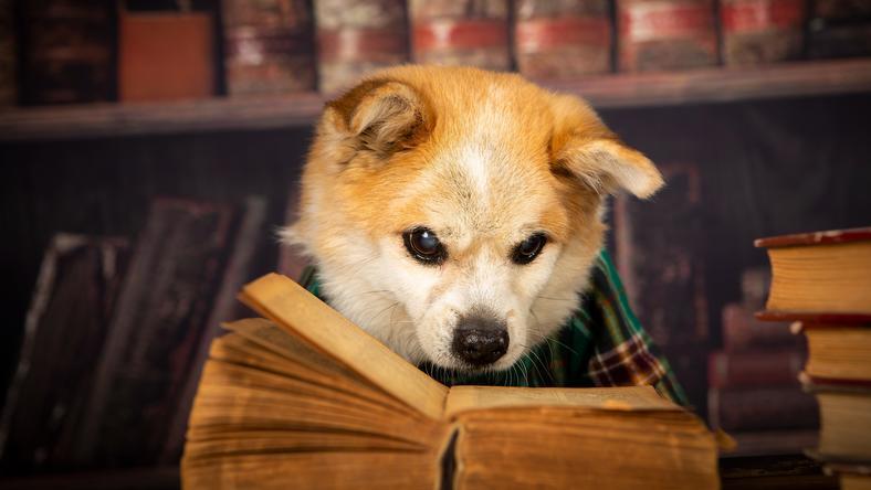 “仗义每多屠狗辈,负心多是读书人”?别忽悠人了